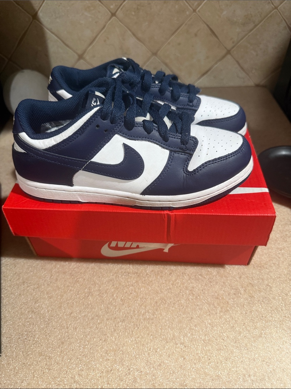 Nike Dunks (Youth)